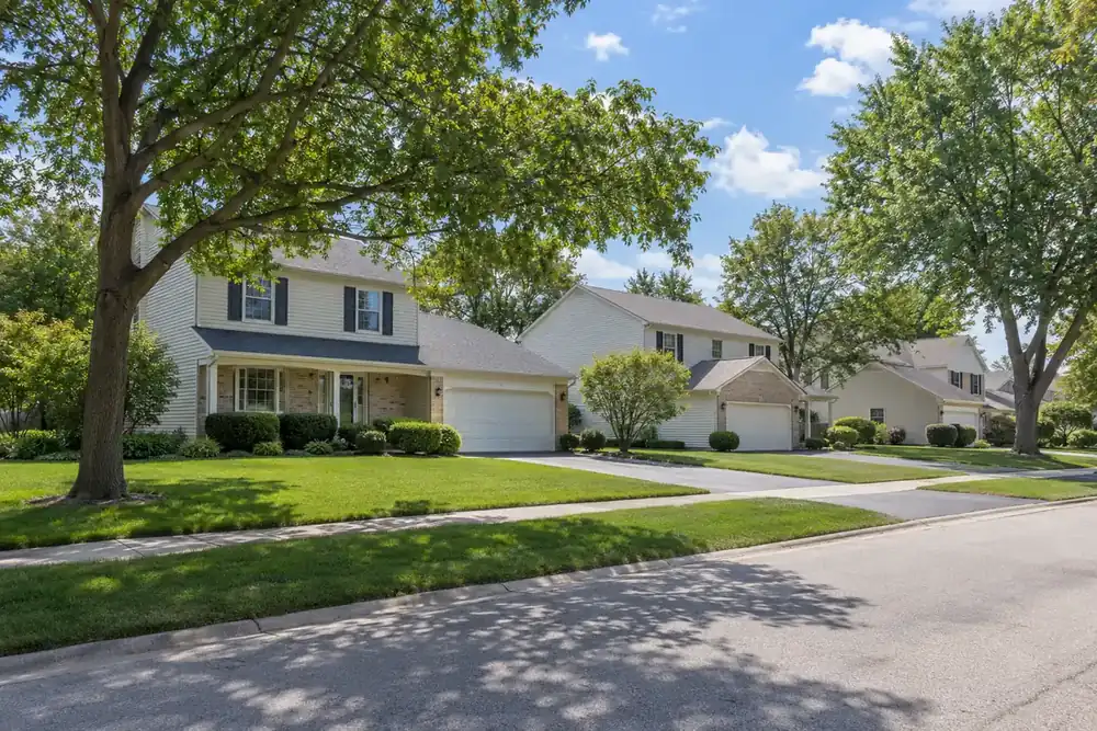 Illustration of a typical residential street in the Buffalo Grove, IL area