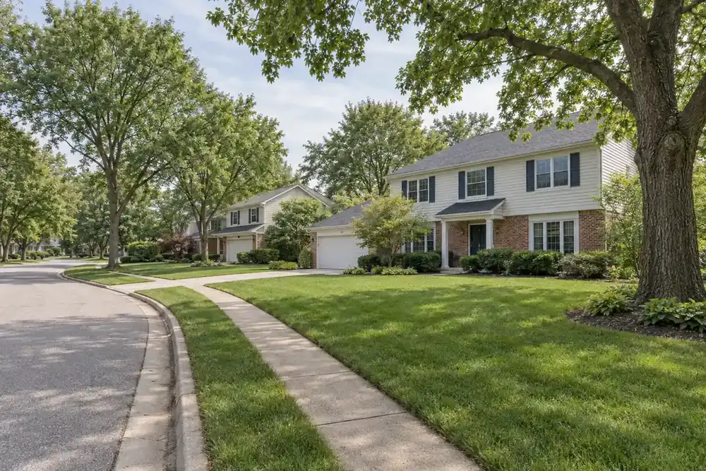 Illustration of a typical residential street in the Glenview, IL area