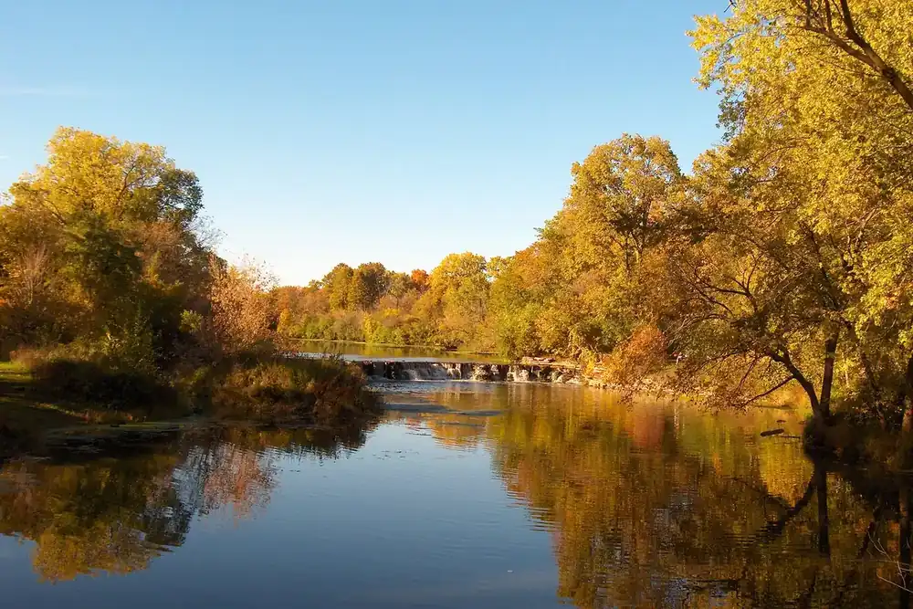 West Branch DuPage River lined with golden autumn trees in Warrenville, Illinois