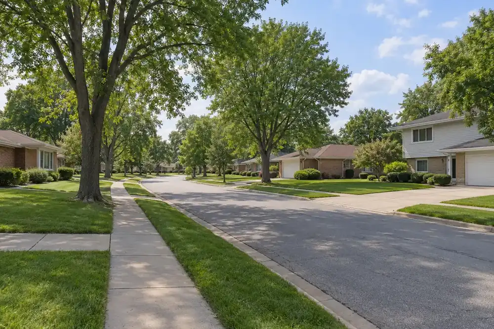 Illustration of a typical residential street in the Wood Dale, IL area